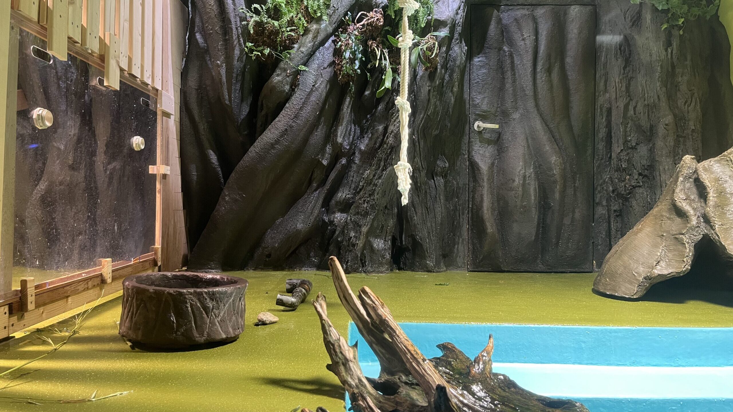 擬木で用いられる素材と選び方