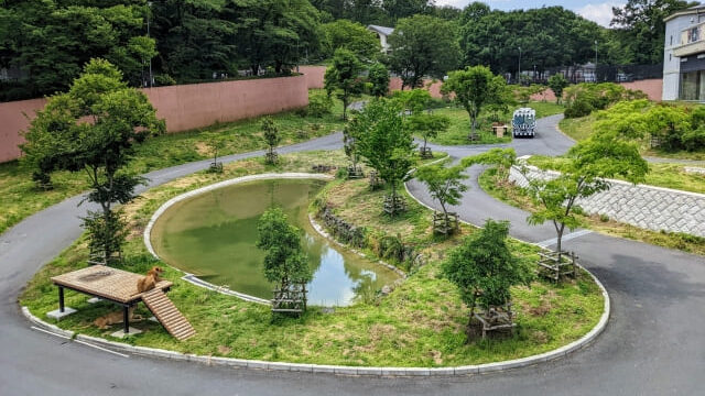 サステナブル設計を施したライオン園