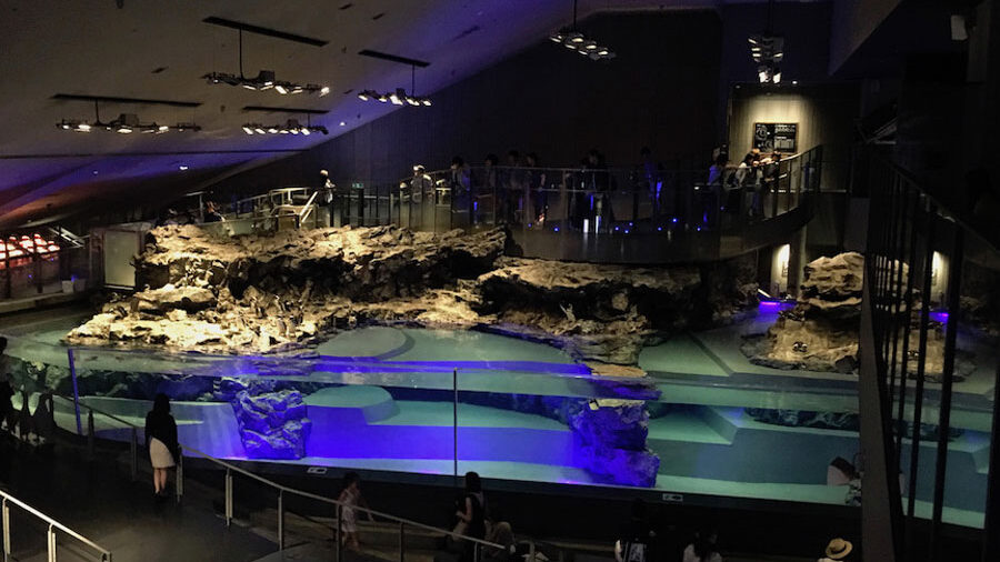 上から見た水族館